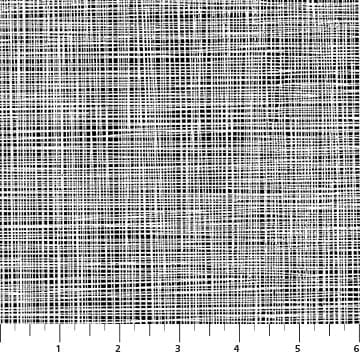 Basically Black and White Lily Linen Negative White on Black Patrick Lose Northcott Cotton Fabric NC-PL-10729-98