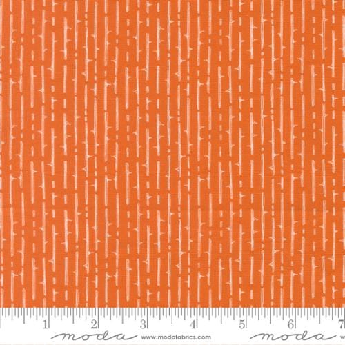 Coven Thorny Stripes Pumpkin Spice Orange Robin Pickens Moda Cotton Fabric MD-48806-13