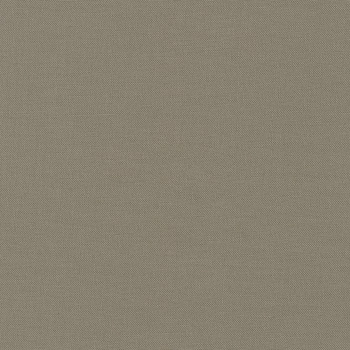 Kona Zinc Solid Robert Kaufman Cotton Fabric Kona-Zinc-K001-859