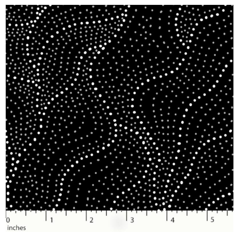 Land of Utopia Black Anna Pitjara M&S Textiles Australia Cotton Fabric MSTA-LUTB-Black