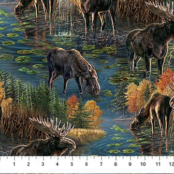 Autumn Woodland-Naturescapes Scenic Blue Multi James Meger Northcott Cotton Fabric NC-DP28412-48