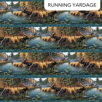 Autumn Woodland-Naturescapes Border Stripe Blue Multi James Meger Northcott Cotton Fabric NC-DP28411-48