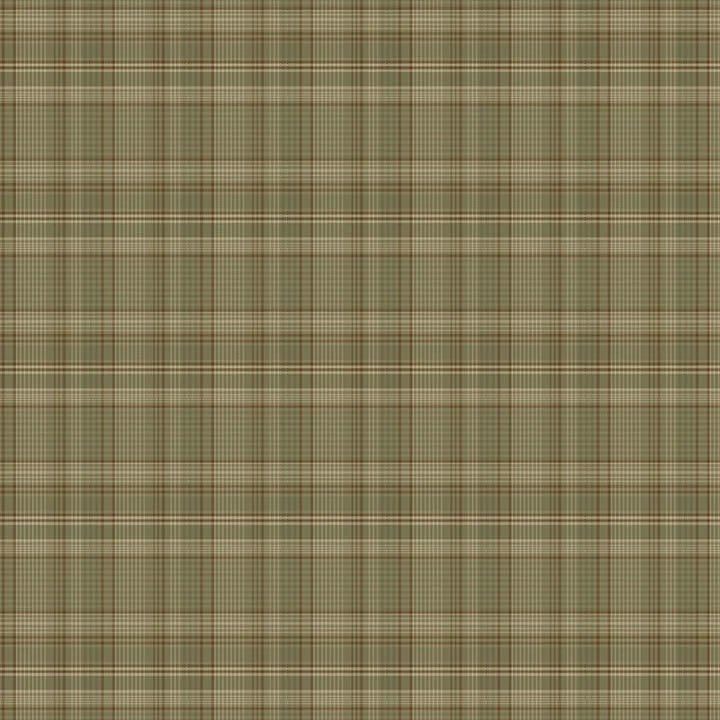 One Sister Yarn Dyes WOVEN Back Porch Plaid Green Janet Rae Nesbitt Henry Glass Cotton WOVEN Fabric HG-3380Y-66