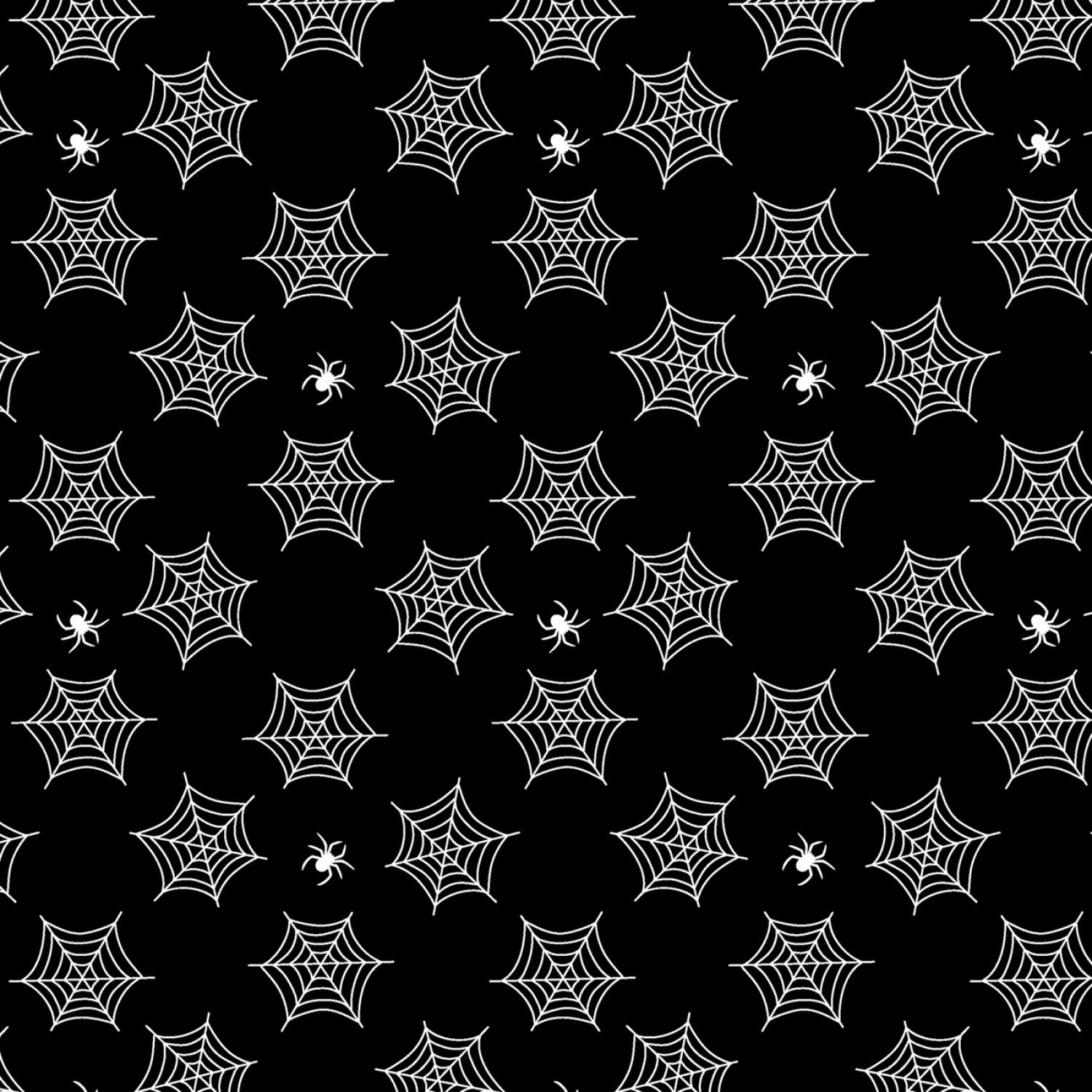 Black & Boo 14566G-12 Spiders & Webs Black