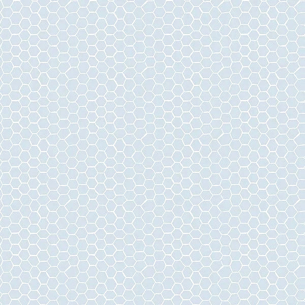 Cottage Grove STELLA-DRR2426 GLACIER Honeycomb