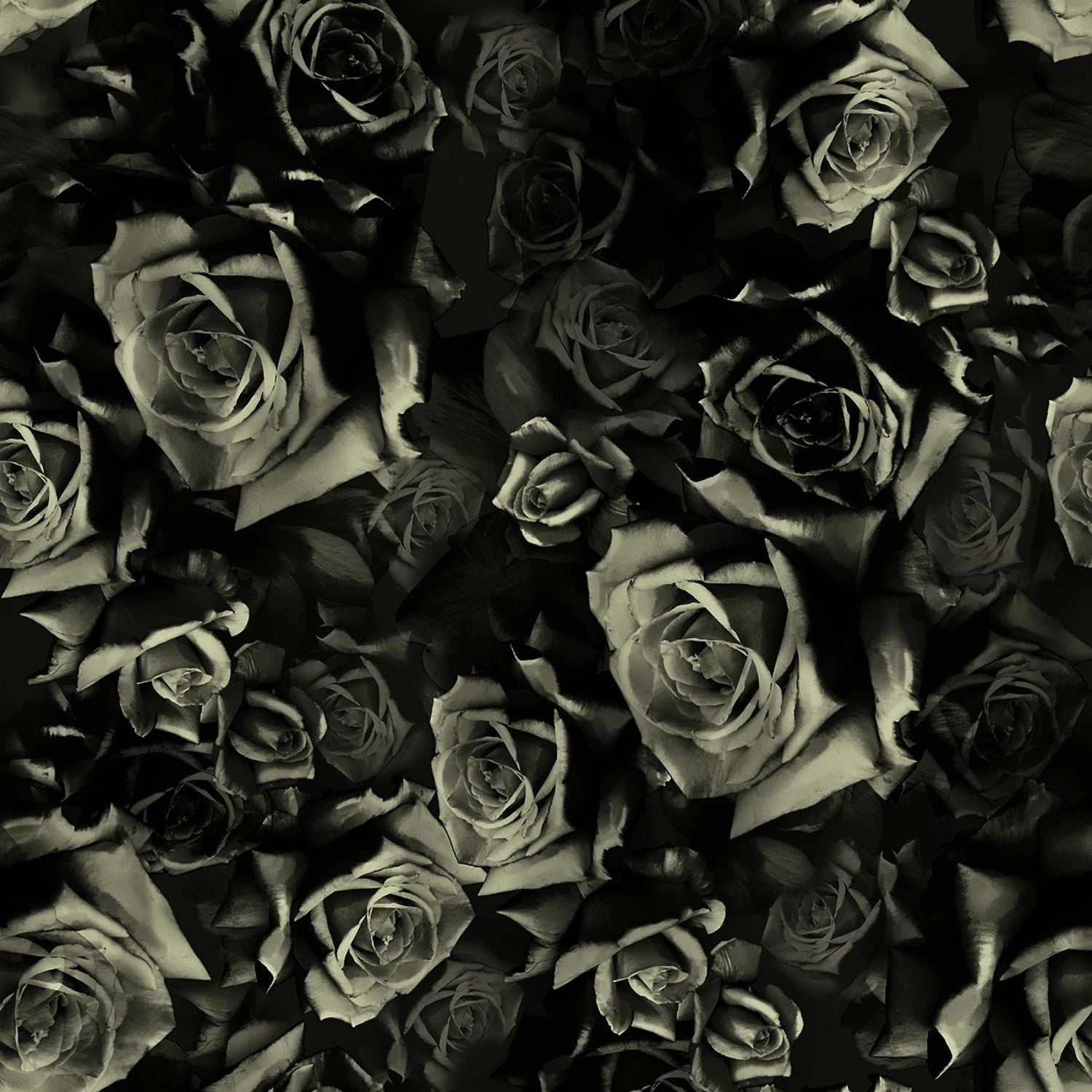 Graveyard Blooms Y5855-213 Onyx (Preorder/Prepay: Read description for full details)
