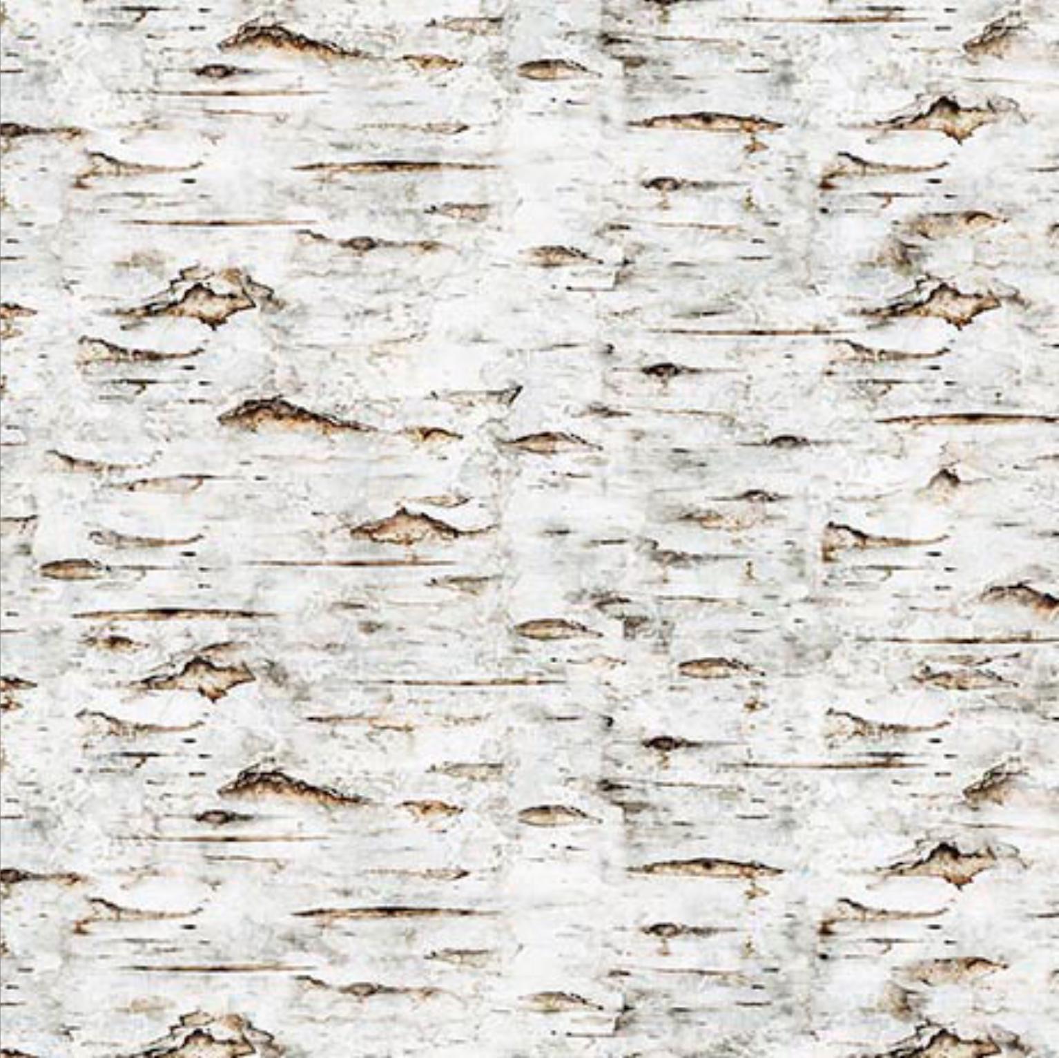 Earthly Delights Birch Bark 31330 Bark E - by QT Fabrics - Texture Wood Tree Nature - Quilting Cotton Fabric